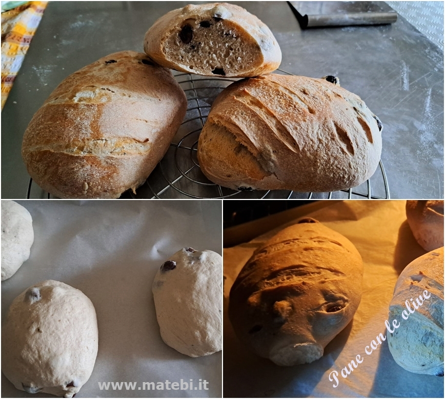 Pane con le olive ed erbe aromatiche con lievito madre